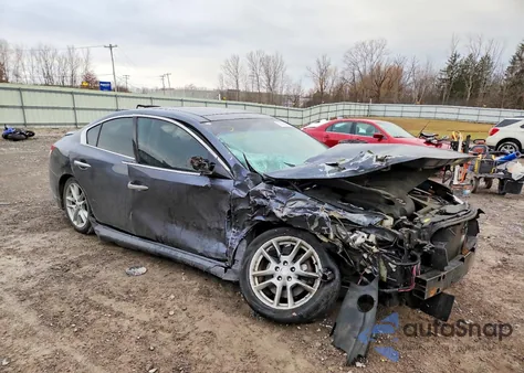 2010 Nissan Maxima S z USA, uszkodzony, nr VIN 1N4AA5AP5AC841523